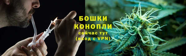 apvp Богородск