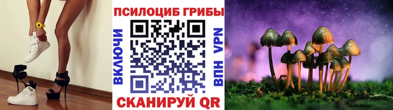 Псилоцибиновые грибы ЛСД  Краснознаменск 