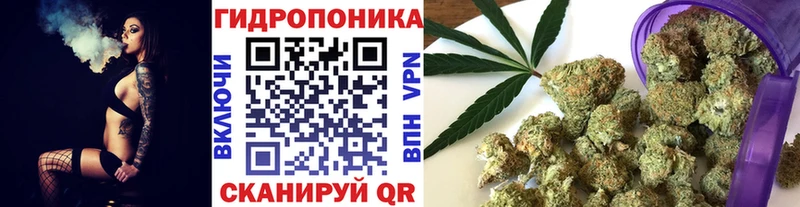 Конопля семена  мориарти официальный сайт  Краснознаменск 